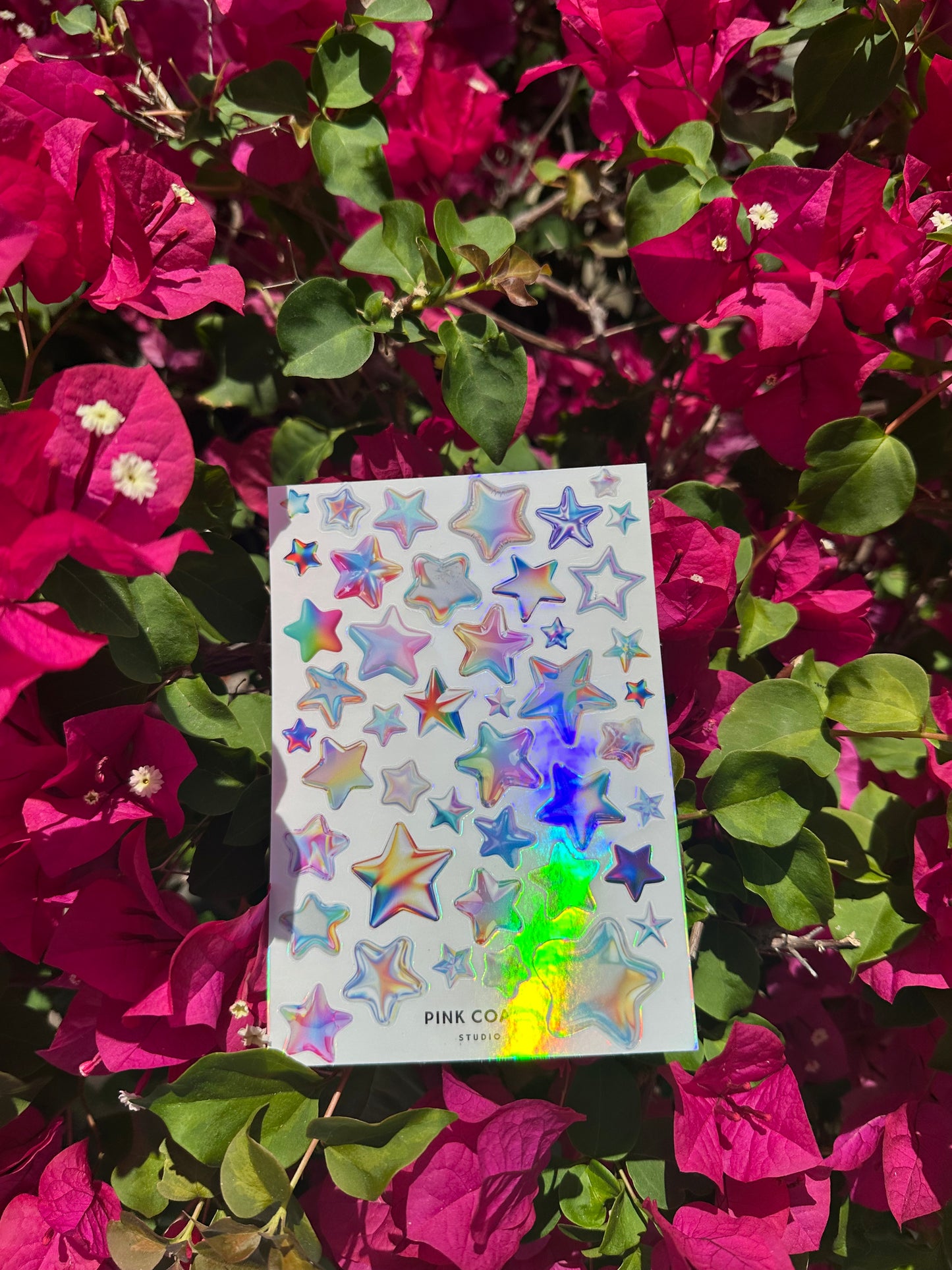 ✦ Holo Stars Sticker Sheet